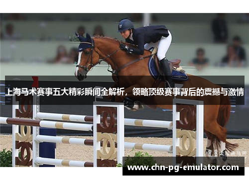 上海马术赛事五大精彩瞬间全解析，领略顶级赛事背后的震撼与激情