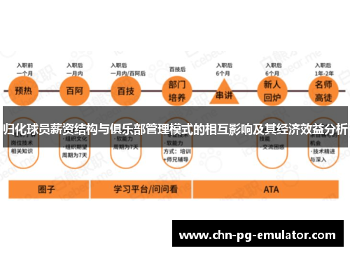 归化球员薪资结构与俱乐部管理模式的相互影响及其经济效益分析