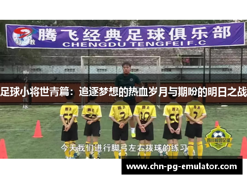 足球小将世青篇:追逐梦想的热血岁月与期盼的明日之战 足球小将世青篇:追逐梦想的热血岁月与期盼的明日之战