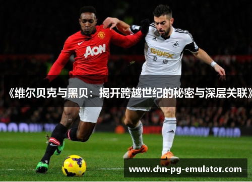 《维尔贝克与黑贝:揭开跨越世纪的秘密与深层关联》 《维尔贝克与黑贝:揭开跨越世纪的秘密与深层关联》