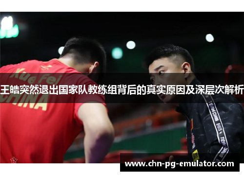 王皓突然退出国家队教练组背后的真实原因及深层次解析