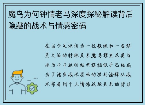 魔鸟为何钟情老马深度探秘解读背后隐藏的战术与情感密码