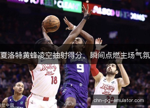 夏洛特黄蜂凌空抽射得分，瞬间点燃主场气氛